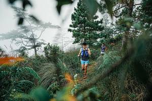 BIB: 
                            <button type="button" onclick="openModal(25258237)" class="btn btn-primary btn-sm float-right btn-popup" data-toggle="modal" data-target=".modal-high-quality">
                        <i class="fas fa-shopping-cart"></i> Add to Cart
                    </button>
                                            <button type="button" onclick="isThisMe(25258237, true)" class="btn btn-success btn-sm float-right btn-popup btn-isme hidden" data-toggle="tooltip" data-placement="bottom" title="นี่คือรูปของคุณใช่ไหม คลิกที่นี่เพื่อเอาเข้าอัลบั้ม">
                        <i class="fas fa-plus"></i> Add to album
                    </button>
                    <button type="button" onclick="isThisMe(25258237, false)" class="btn btn-warning btn-sm float-right btn-popup btn-isnotme hidden">
                        <i class="fas fa-ban"></i> Remove from album
                    </button>